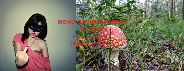 соль ск Тихвин