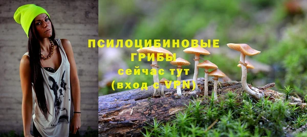 амф Заволжск