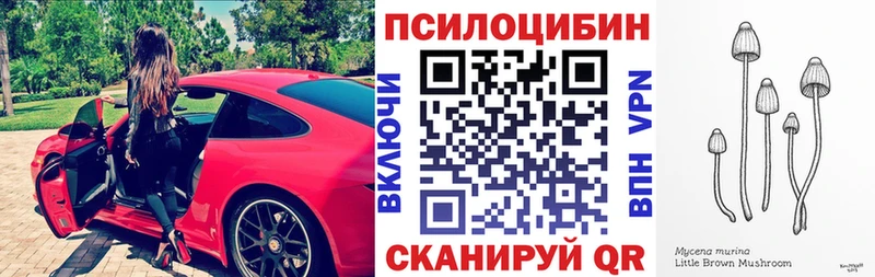 Псилоцибиновые грибы Magic Shrooms  Купить где  Гатчина 